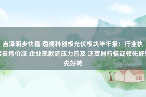 吉泽明步快播 透视科创板光伏板块半年报：行业执续量增价减 企业现款流压力普及 逆变器行情或领先好转