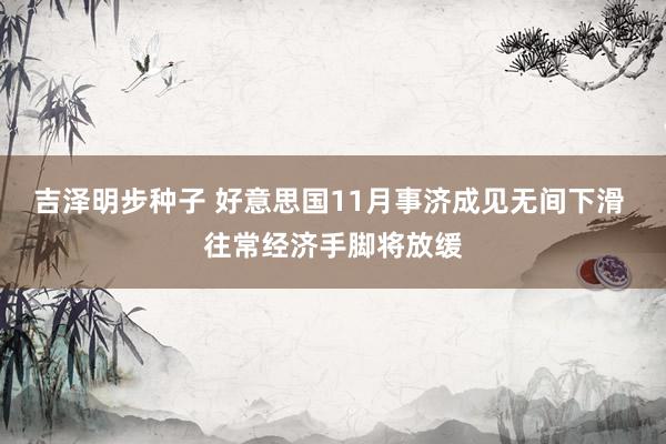 吉泽明步种子 好意思国11月事济成见无间下滑 往常经济手脚将放缓
