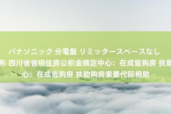 パナソニック 分電盤 リミッタースペースなし 露出・半埋込両用形 四川省省级住房公积金搞定中心：在成皆购房 扶助购房索要代际相助