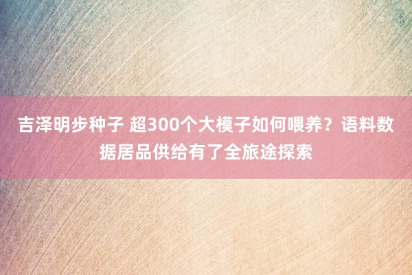 吉泽明步种子 超300个大模子如何喂养？语料数据居品供给有了全旅途探索