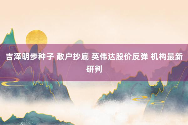 吉泽明步种子 散户抄底 英伟达股价反弹 机构最新研判