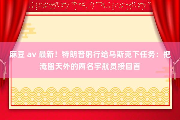麻豆 av 最新！特朗普躬行给马斯克下任务：把淹留天外的两名宇航员接回首