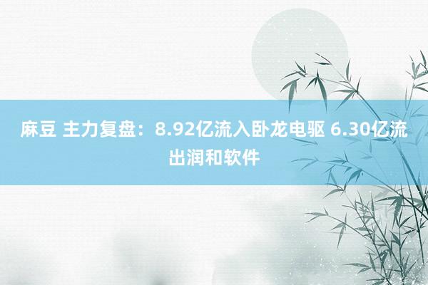 麻豆 主力复盘：8.92亿流入卧龙电驱 6.30亿流出润和软件